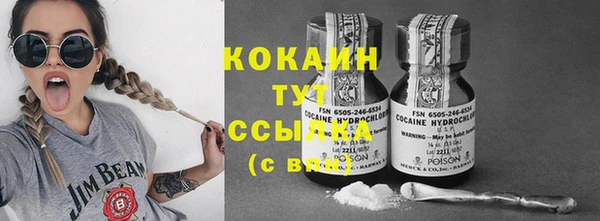 индика Абинск