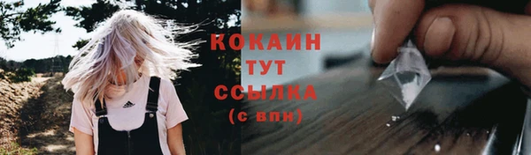 твердый Абаза