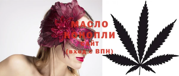 индика Абинск