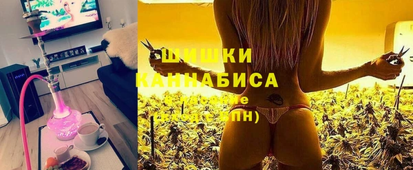 индика Абинск