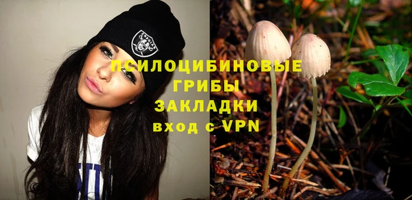 индика Абинск