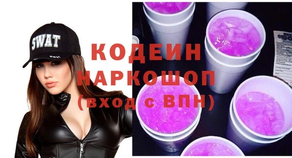 индика Абинск