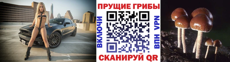 ОМГ ОМГ зеркало  Екатеринбург  Галлюциногенные грибы мухоморы 