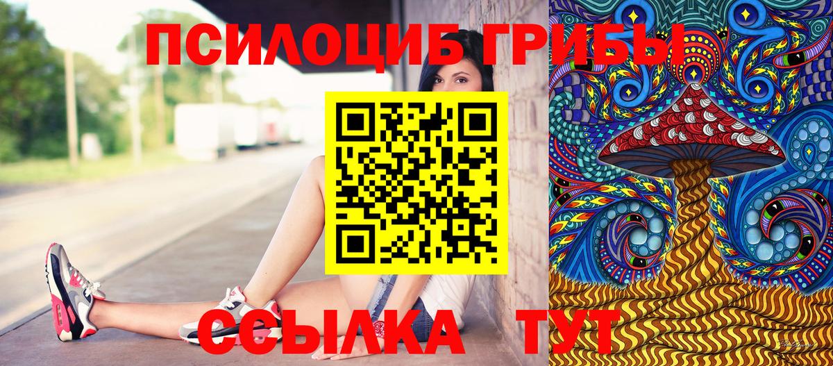 Галлюциногенные грибы Cubensis  Вход с VPN  Псилоцибиновые грибы прущие грибы  Екатеринбург 